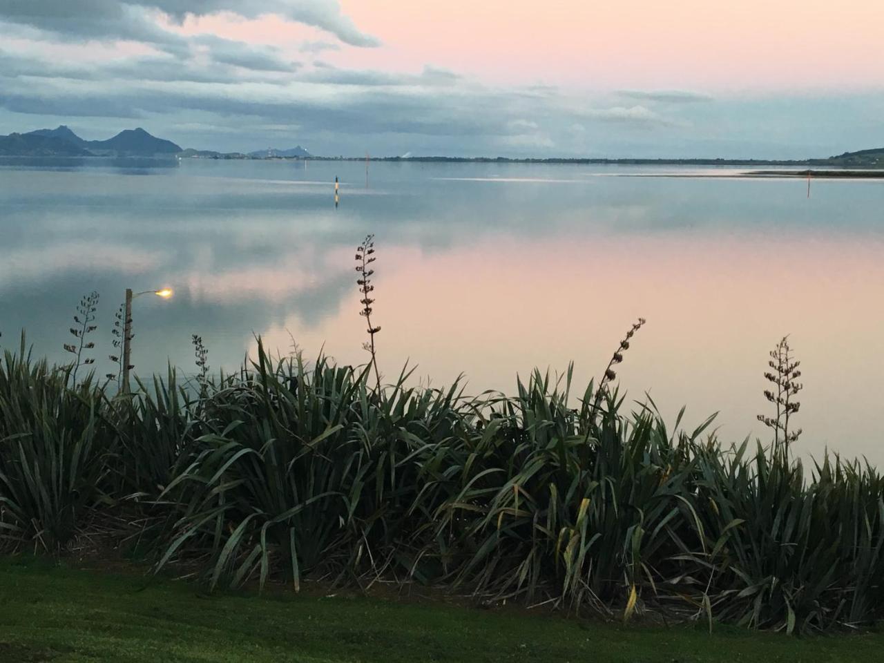 Beach Lane Apartment Whangarei Eksteriør billede